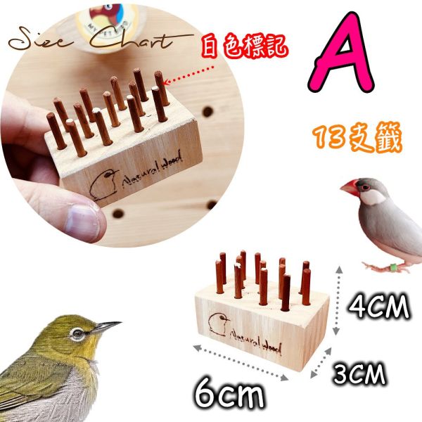 w030 鳥寶幸運籤筒｜天然木製小型鳥互動玩具 綠繡眼玩具、迷你插拔玩具、天然木材玩具、智力啟發玩具、小型鳥類玩具、松木玩具、櫸木玩具、紅花梨木玩具、鳥類益智玩具、寵物鳥娛樂