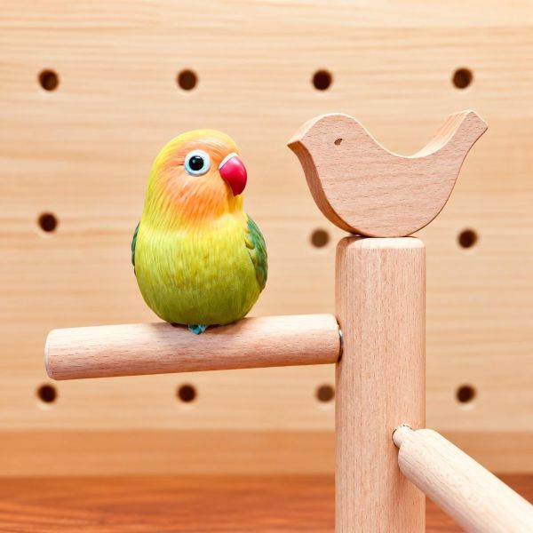 w397 櫸木桌上型鳥用站架 鳥用站架, 櫸木鳥站架, 桌上型鳥站架, 鸚鵡站架, 鸚鵡棲木, 鸚鵡玩具, 鸚鵡互動站架, MY PET BIRD