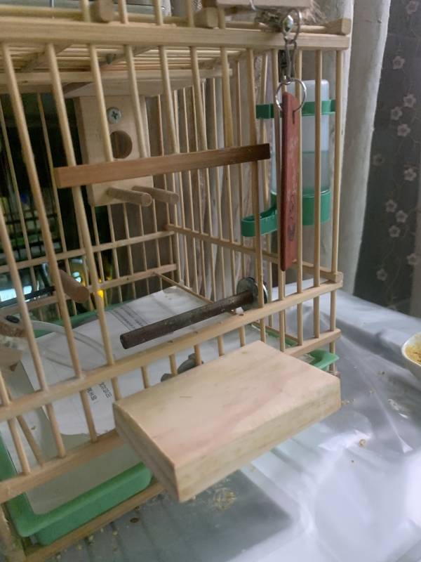 MY PET BIRD 鳥籠門前便利小站台/ 簡單便宜又實用讓鳥寶出入鳥籠更方便 鳥籠
鳥寶
鳥籠站台
小鳥配件
鳥籠附件
鳥籠設備
鳥類用品
鳥籠配件
鳥類生活用品
鳥籠出入口
鳥籠進出口
鳥籠設計
寵鳥用品
鳥類飼養用品
鳥籠周邊商品
鳥類用具
鳥籠實用工具
鳥籠便利小物
鳥籠周邊產品
鳥寶生活配件