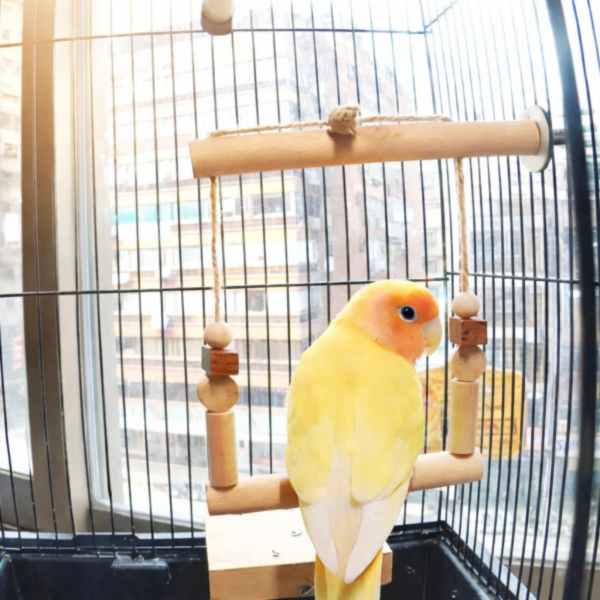 W547 小鸚鵡鞦韆 鳥用鞦韆、多功能玩具、咬物設計、健康娛樂、3mm麻繩、籠內外使用、耐用性、安全性、鳥類玩具、鳥寶娛樂、健康成長。