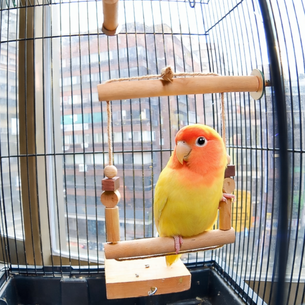 W547 小鸚鵡鞦韆 鳥用鞦韆、多功能玩具、咬物設計、健康娛樂、3mm麻繩、籠內外使用、耐用性、安全性、鳥類玩具、鳥寶娛樂、健康成長。