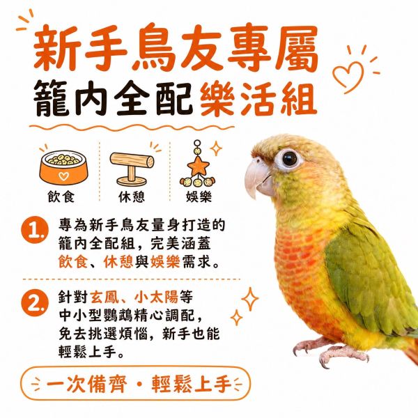 Z105 玄鳳小太陽樂活組 鸚鵡用品,玄鳳站台,鳥寶玩具,鸚鵡餐台,胡桃木站棍,鸚鵡盪鞦韆,MY PET BIRD
