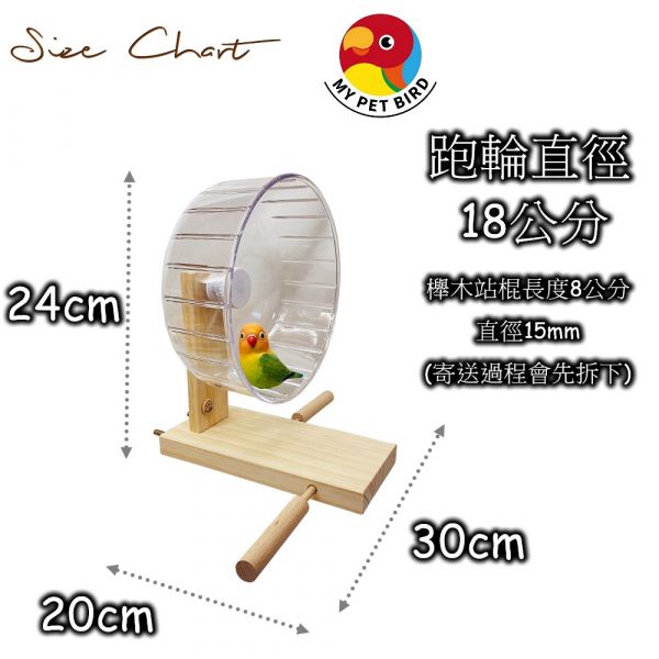 MY PET BIRD 鸚鵡跑輪 /寵物鳥運動器材 鸚鵡跑輪
寵物鳥跑輪
寵物鸚鵡運動設施
MY PET BIRD跑輪
鳥類運動器材
鳥類健康玩具
鳥類運動樂趣
鳥類休閒設施
鳥類活動站台
鸚鵡運動娛樂