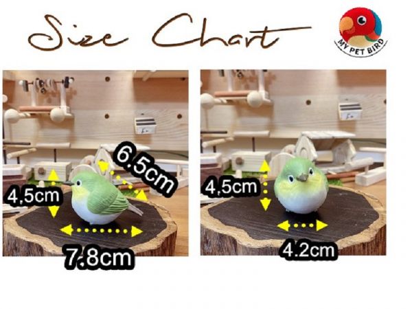 W328G 綠繡眼專屬站架 綠繡眼、專屬站架、站棍材料、直徑6~10mm、小綠、快速飛跳、抓握力、底座開槽、小花樣式、飼料、小點心、安全飲食、乾淨飲食
