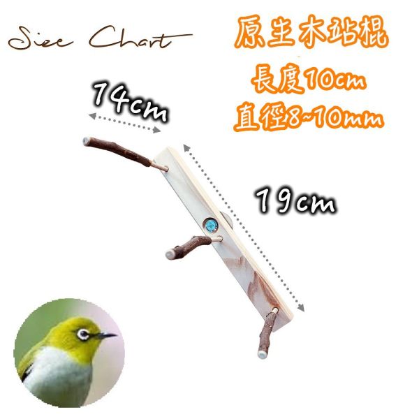 MY PET BIRD 綠繡眼站架 綠繡眼,超細站棍,8mm,雙站棍,運動和娛樂,寵物鳥,創新設計。