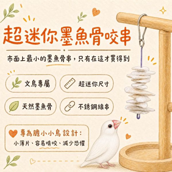 A063  墨魚骨迷你串 文鳥墨魚骨, 鸚鵡補鈣玩具, 迷你墨魚骨, 綠繡眼咬串, 鳥用墨魚骨, 鸚鵡磨喙玩具, 小型鳥補鈣, MY PET BIRD