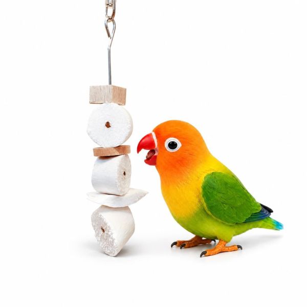 W050  天然通草芯墨魚骨鳥玩具 鸚鵡玩具, 墨魚骨串, 通草芯鳥玩具, 鸚鵡補鈣, 鸚鵡磨嘴玩具, 小太陽玩具, 玄鳳鸚鵡玩具, 情侶鳥玩具, 天然原木鳥玩具, 鳥用啃咬串, MY PET BIRD