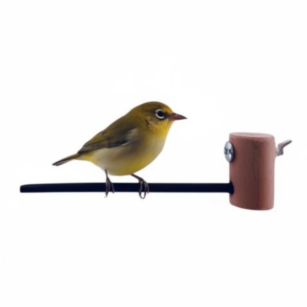 W835A  綠繡眼紫光檀木站棍 鳥類站立架
寵物站立訓練器材
鸚鵡活動訓練棒
可調節高度鳥類站立器材
天然木鳥類站立架
無毒寵物訓練玩具
多功能鸚鵡訓練用品
適合鸚鵡站立練習的玩具