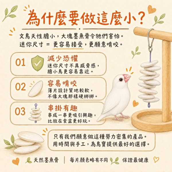 A063  墨魚骨迷你串 文鳥墨魚骨, 鸚鵡補鈣玩具, 迷你墨魚骨, 綠繡眼咬串, 鳥用墨魚骨, 鸚鵡磨喙玩具, 小型鳥補鈣, MY PET BIRD