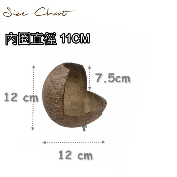 MY PET BIRD 台灣現貨/椰殼窩 椰殼鸚鵡木窩
小鸚鵡舒適窩巢
天然椰殼鸚鵡窩
耐用木質鸚鵡窩
易清洗鸚鵡木窩
鸚鵡舒適休憩空間
環保椰殼鸚鵡窩
手工製作鸚鵡木窩
自然材質鸚鵡窩
安全可靠的鸚鵡住所