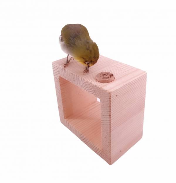 MY PET BIRD  小鸚鵡鑽桶訓練 鸚鵡飼養技巧
鸚鵡品種
鸚鵡飲食
鸚鵡訓練
鸚鵡健康
迷你站架
鸚鵡玩具
鸚鵡行為
鸚鵡攝養
鸚鵡社交化
鸚鵡照顧指南
鸚鵡疾病預防
輕巧時尚站架
鸚鵡活動
鸚鵡心理健康
鸚鵡繁殖
鸚鵡價格