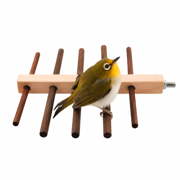 W752B 殘疾鳥特製站架 鳥類用品
殘疾鳥站架
鳥友用品
活動食盒
鳥類飼料器
鳥寶站立器
專業鳥類配件
人性化鳥類用品
穩固支撐站架
無障礙鳥類用品
鳥類健康產品
鳥類飲水器
鳥類玩具
輕鬆移動鳥站架
鳥類訓練用品