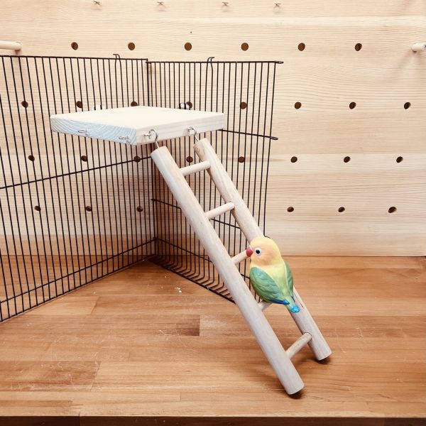 W612  多功能實木平台 + 互動攀爬梯 鳥用梯子
小型鳥用梯子
鳥類攀爬梯
鳥籠玩具
天然竹製鳥用梯子
鳥類運動訓練用品
安全可靠鳥用梯子
易於安裝的鳥用梯子
適用於不同大小的鳥籠
高品質鳥用梯子