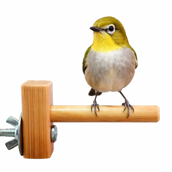 MY PET BIRD 迷你竹站棍 綠繡眼訓練工具
竹質站棍
小腳訓練器材
直徑10mm竹棍
平衡訓練工具
鳥兒站棍模擬
樹枝晃動感覺
綠繡眼運動訓練器具
綠繡眼腳部力量訓練
竹製訓練棍具