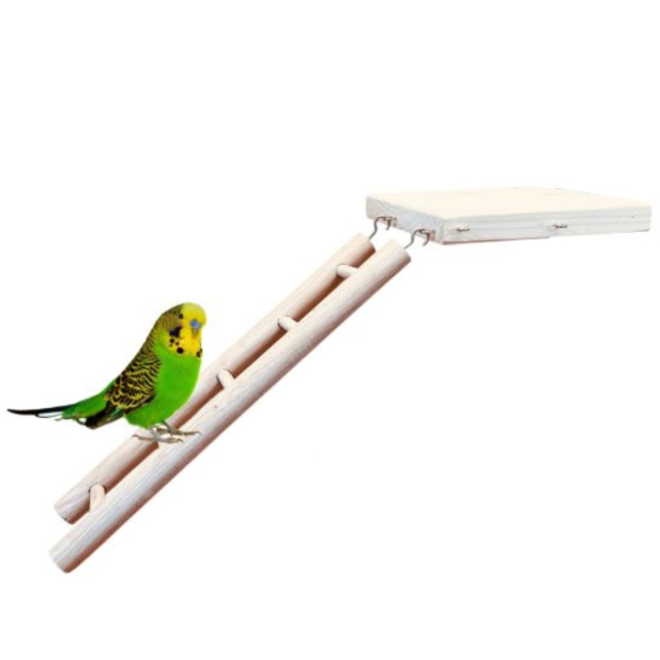 W612  多功能實木平台 + 互動攀爬梯 鳥用梯子
小型鳥用梯子
鳥類攀爬梯
鳥籠玩具
天然竹製鳥用梯子
鳥類運動訓練用品
安全可靠鳥用梯子
易於安裝的鳥用梯子
適用於不同大小的鳥籠
高品質鳥用梯子