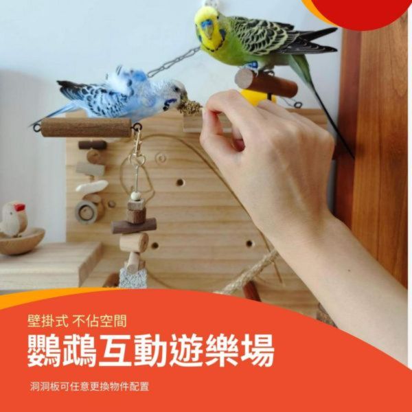MY PET BIRD 壁掛式鸚鵡遊樂場 壁掛式鸚鵡遊樂場
鸚鵡壁掛式娛樂空間
多功能壁掛鸚鵡遊戲台
鸚鵡壁掛式爬行設施
節省空間的壁掛鸚鵡遊樂設備
壁掛式鸚鵡咬物和休息場所
安全耐用的壁掛式鸚鵡遊樂場
鸚鵡壁掛式娛樂設施
美觀實用的壁掛鸚鵡遊樂器具
高品質壁掛式鸚鵡遊戲設備