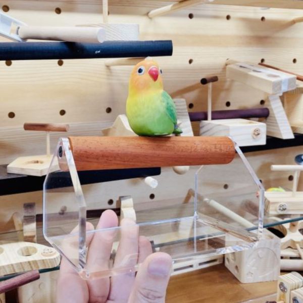 MY PET BIRD 珍木鸚鵡站架 /中型鸚鵡 鹦鹉站架
鹦鹉架
鹦鹉用品
鸟类用品
鸟类玩具
鸟类站架
宠物用品
宠物玩具
宠物训练用品
鹦鹉训练用品