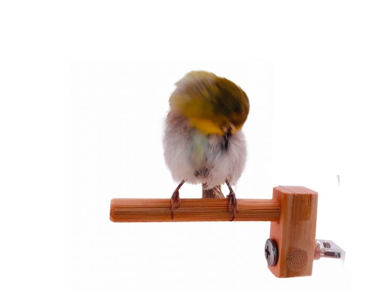 MY PET BIRD 迷你竹站棍 綠繡眼訓練工具
竹質站棍
小腳訓練器材
直徑10mm竹棍
平衡訓練工具
鳥兒站棍模擬
樹枝晃動感覺
綠繡眼運動訓練器具
綠繡眼腳部力量訓練
竹製訓練棍具