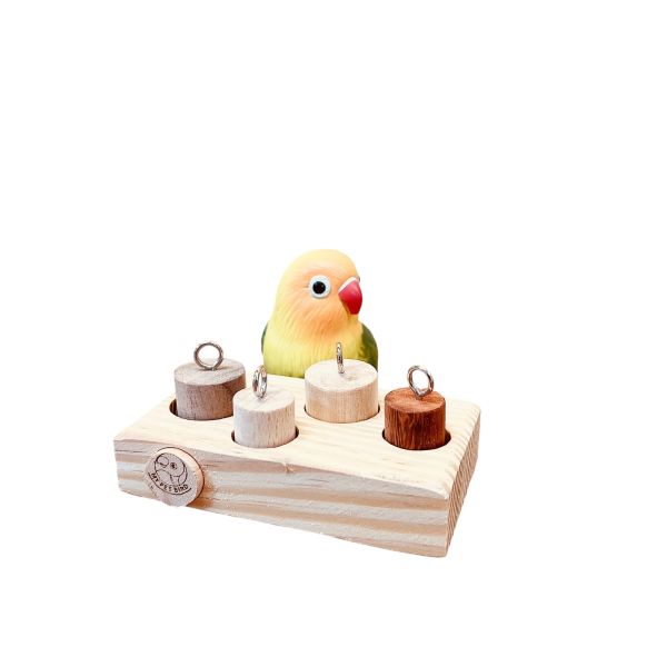 MY PET BIRD　鸚鵡探索玩具／智能訓練和互動遊戲 鸚鵡玩具
智能訓練玩具
互動遊戲鸚鵡玩具
鸚鵡智力訓練器具
智能鸚鵡玩具
互動鸚鵡遊戲器具
智力發展鸚鵡玩具
問題解決鸚鵡玩具
鸚鵡智慧玩具
鸚鵡運動和娛樂玩具