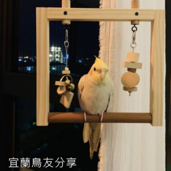 MY PET BIRD  實用中型鸚鵡鞦韆 中型鸚鵡鞦韆、手工製作鞦韆、寬大結實鞦韆、可掛咬物鞦韆、優質材料鞦韆、耐用舒適鞦韆、中型鸚鵡用品、鳥類遊玩場所