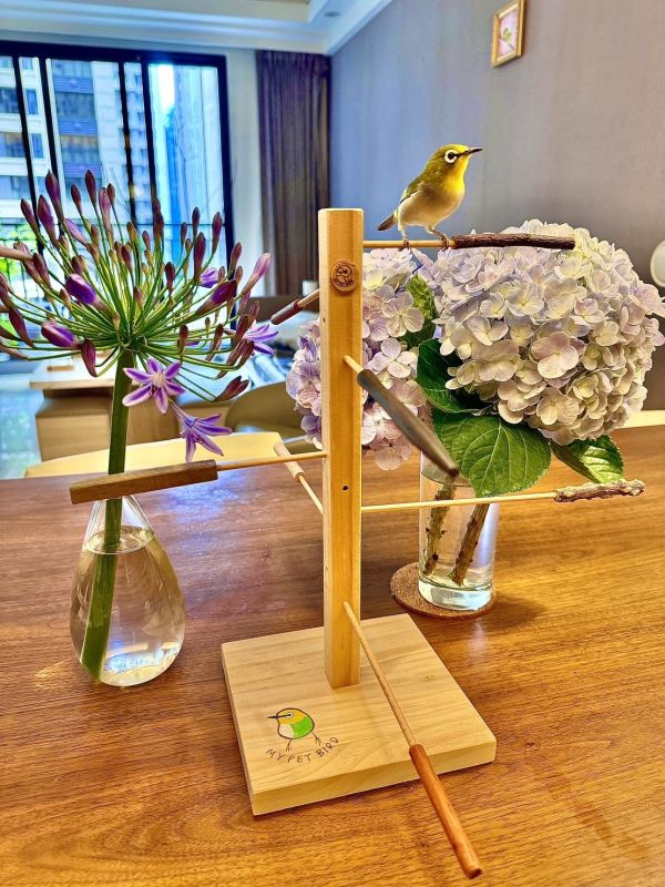 MY PET BIRD 綠繡眼專用跳架組合 綠繡眼站台 bird perch stand
綠繡眼站架 Bird stand
綠繡眼站棍　Bird Perch
綠繡眼遊樂場 Bird Playground
綠繡眼鳥玩具 Parrot toys
綠繡眼鳥用品 bird products
綠繡眼攀爬繩 Climbing rope
綠繡眼梯子 ladder