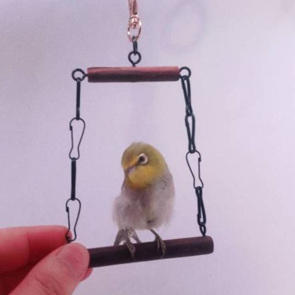 MY PET BIRD  綠繡眼檀木迷你鞦韆 綠繡眼檀木鞦韆、極細站棍、檀木材質、質硬耐用、沈穩、鳥類遊戲設施、綠繡眼寵物、優質檀木、遊玩樂趣、家居環境、自然氛圍、健康運動、愉悅娛樂體驗。