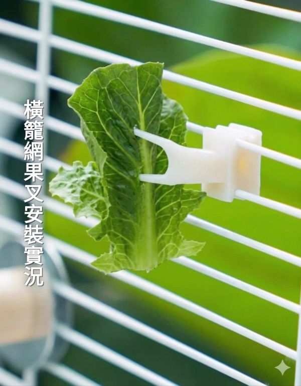 MY PET BIRD 鳥用簡易水果叉 台灣現貨 鳥用水果叉
鳥類水果叉
鳥籠配件：水果叉
鳥類飲食工具：水果叉
鳥類食物供應工具：水果叉
塑料鳥用水果叉
輕巧易清潔的鳥用水果叉
鳥類健康飲食必備：水果叉
提供多種食物選擇的鳥用水果叉
便利食物裝置：鳥用水果叉