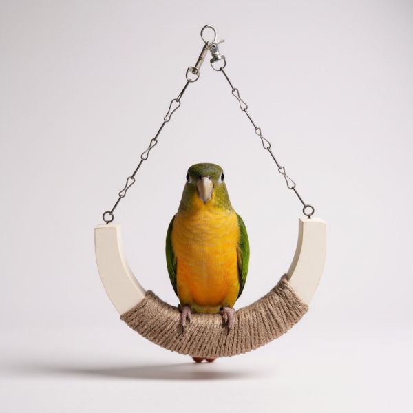 W533 月亮麻繩鞦韆 中型鸚鵡（標記適用對象）

天然麻繩（強調安全、無毒）

原木鳥玩具（強調自然系、環保）

月亮鞦韆（產品獨特形狀）

鸚鵡吊床（功能性描述）