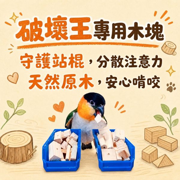 W099 超強破壞王消耗組原木邊角料 鸚鵡啃咬木塊 中型鸚鵡 DIY 玩具材料 🔑 SEO 關鍵字
鸚鵡啃咬木塊, 原木邊角料, 鸚鵡DIY玩具材料, 中型鸚鵡玩具, 鸚鵡磨喙木塊, 寵物鳥啃咬玩具, 鸚鵡破壞玩具, 鸚鵡木塊包, W099, MY PET BIRD