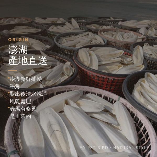 MY PET BIRD 澎湖產地墨魚骨粉 補鈣墨魚骨
鈣質補充
健康骨骼
強化骨骼
營養豐富
天然食材
高鈣來源
墨魚骨營養
骨骼健康