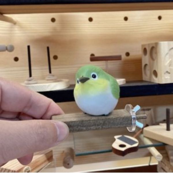 MY PET BIRD  輕量檀木窄站台 寵物文創,鳥玩具,鸚鵡玩具,文鳥,玄鳳,和尚,虎皮,綠繡眼,凱克,寵物用品,寵物玩具,咬物