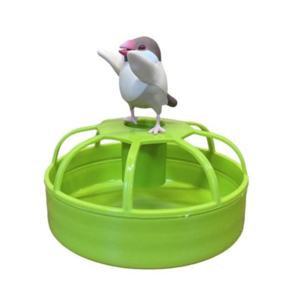 MY PET BIRD 幼鳥｜殘疾鳥食盒 淺碟鳥用飼料盒
鳥類飼料盒
鳥用淺碟食盤
鳥類進食器
鳥類餵食器
淺碟式鳥類飼料盒
鳥類飼料供應器
鳥類飼料容器
鳥類飼料配給器
淺碟鳥食盤