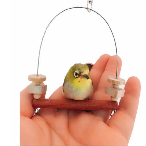 MY PET BIRD  迷你鞦韆設計綠繡眼專用｜簡潔時尚的不銹鋼支撐 文鳥咬串 鸚鵡玩具綠繡眼、迷你鞦韆、不銹鋼支撐、時尚設計、咬物選擇、寵物鳥娛樂