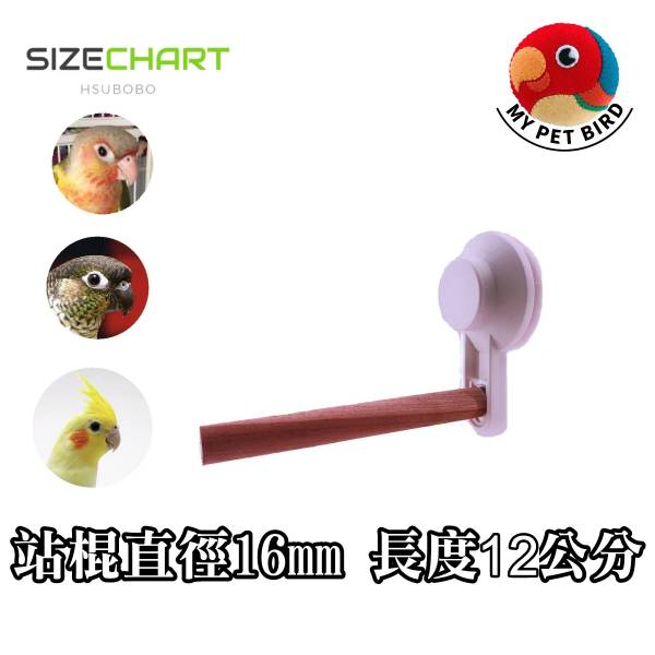 寵物鳥吸盤站架 吸盤式鳥站棍
鳥類活動站棍
吸盤式鳥類觀察器材
室內鳥類站棍
室外鳥類站棍
適用於鳥類的吸盤站棍
