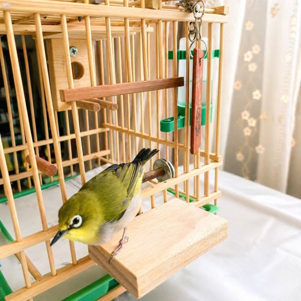 W766 鳥籠門前便利小站台/ 簡單便宜又實用讓鳥寶出入鳥籠更方便 鳥籠
鳥寶
鳥籠站台
小鳥配件
鳥籠附件
鳥籠設備
鳥類用品
鳥籠配件
鳥類生活用品
鳥籠出入口
鳥籠進出口
鳥籠設計
寵鳥用品
鳥類飼養用品
鳥籠周邊商品
鳥類用具
鳥籠實用工具
鳥籠便利小物
鳥籠周邊產品
鳥寶生活配件