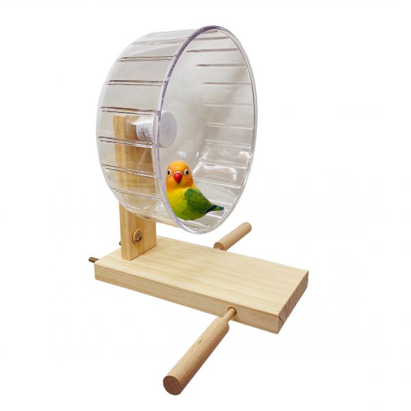 MY PET BIRD 鸚鵡跑輪 /寵物鳥運動器材 鸚鵡跑輪
寵物鳥跑輪
寵物鸚鵡運動設施
MY PET BIRD跑輪
鳥類運動器材
鳥類健康玩具
鳥類運動樂趣
鳥類休閒設施
鳥類活動站台
鸚鵡運動娛樂