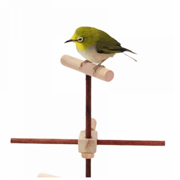 MY PET BIRD  茶道靈感綠繡眼站架 茶道靈感、綠繡眼站架、日式田園風、美感、實用性、獨特造型、櫸木小食盒、舒適環境、鳥寶休息、和諧感。