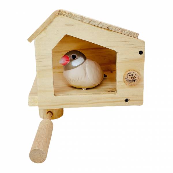 W415 太平洋鵙鵡小木屋 鳥用木窩
鳥居住用品
鳥類寄宿舍
天然木質鳥窩
鳥類棲息場所
無毒環保鳥窩
適合鳥類棲息的木製窩
室內外鳥類居住用品
手工製作鳥窩
鳥類庇護所