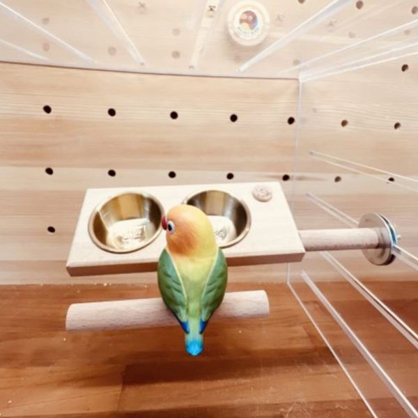 MY PET BIRD 2分裝食物架 | 鸚鵡款 文鳥 小鸚 牡丹 白頭翁 麻雀 虎皮 太平洋 玄鳳 小太陽 金太陽 和尚 
鸚鵡玩具 寵物文創 鳥玩具