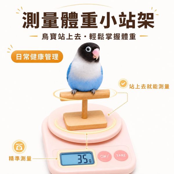 W339 鳥用電子秤站架 原木百元臨時站台 體重測量小站架, 鸚鵡量體重站架, 鳥用電子秤站架, 百元小站架, 綠繡眼站架, 小型鳥站台, 鸚鵡臨時站架, 鳥用原木站架, W339, MY PET BIRD