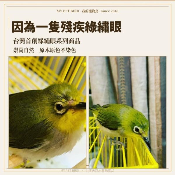 199免運 鸚鵡站台
鸚鵡活動台
鳥類休息台
寵物休息訓練架
可調節高度鳥類休息台
天然木鳥類站立架
無毒寵物訓練玩具
多功能鸚鵡訓練用品
適合鸚鵡休息和站立練習的玩具