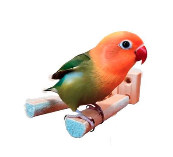 w809c 半圈磨爪延伸站棍 鳥用磨爪站棍
鳥類爪磨石
鳥類磨爪玩具
鳥用爪磨設備
鳥類爪磨訓練工具
鳥類磨爪棒
鳥類爪磨架
鳥爪保健產品
鳥類磨爪支架
鳥類爪磨棒