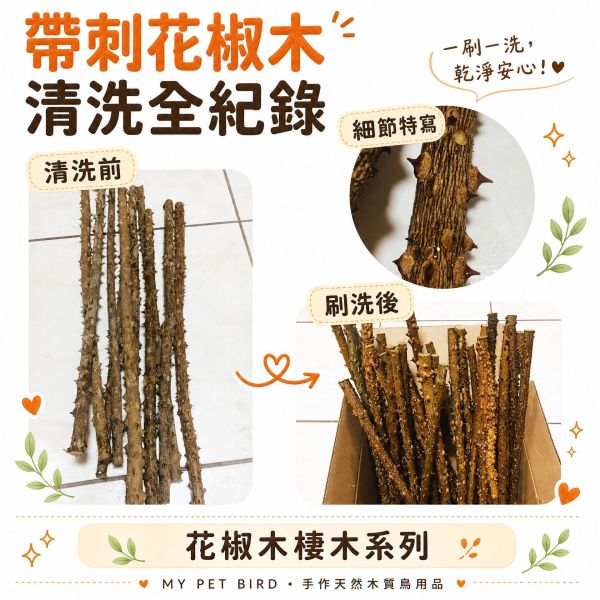 W844  綠繡眼花椒木站棍 極細 綠繡眼站棍,花椒木站棍,綠繡眼站架,小型鳥站棍,天然鳥用站棍,綠繡眼用品,鳥用磨爪棒,MY PET BIRD