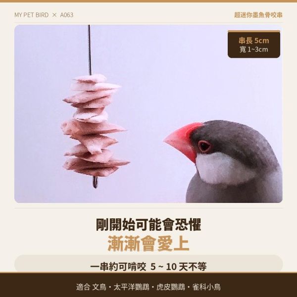 MY PET BIRD  墨魚骨迷你串 文鳥
營養補鈣
墨魚骨迷你串
鈣質補充
健康骨骼
羽毛健康
全面營養
安全食用
無害添加劑
口感豐富
食慾刺激
鳥類食品
專為文鳥設計
寵物鳥食品
高品質飼料