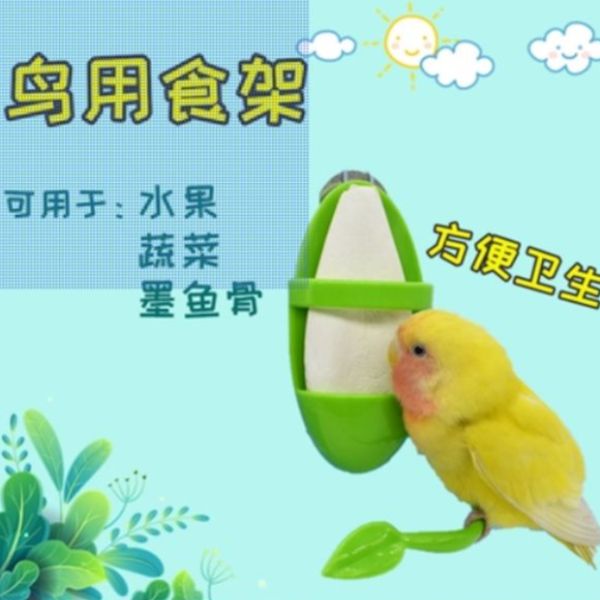 MY PET BIRD 葉食樂架/鳥用食物架 鳥用食物架
葉子造型鳥架
鳥寵餵食架
鳥類飲食用具
環境友好鳥食架
自然風格鳥用架
鳥寵餵食平台
健康飲食鳥架
鳥類餵食設備
室內鳥食架