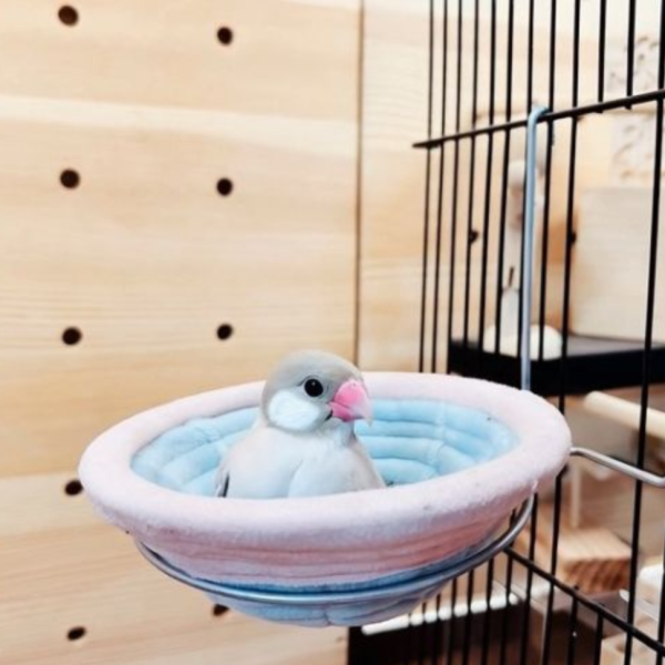 W4A3  雀鳥鳥巢／ 懸掛式鳥窩 鳥類寵物懸掛窩
吊掛式鳥巢
寵物鳥掛墊窩
懸掛式鳥類睡窩
布質吊掛鳥窩
寵物鳥用懸掛巢穴
鳥類布質掛墊窩
懸掛式寵物鳥休憩窩
寵物鳥的吊掛睡巢
鳥類懸掛式棲息窩