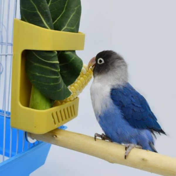 MY PET BIRD 鸚鵡蔬果籃/多功能寵物食盒 鳥類果蔬籃
鳥兒食物供應籃
鳥類水果蔬菜器皿
新鮮食物籃子
鳥類營養補充器
鳥用食物盛放器
天然鳥類飲食工具
健康鳥類食物籃
方便鳥類飲食器具
鳥類食物分配容器