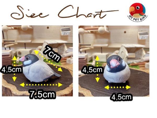 MY PET BIRD 兩件式副食盒 淺碟鳥用飼料盒
鳥類飼料盒
鳥用淺碟食盤
鳥類進食器
鳥類餵食器
淺碟式鳥類飼料盒
鳥類飼料供應器
鳥類飼料容器
鳥類飼料配給器
淺碟鳥食盤