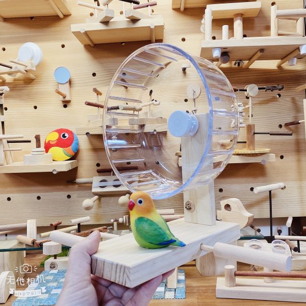 MY PET BIRD 鸚鵡跑輪 /寵物鳥運動器材 鸚鵡跑輪
寵物鳥跑輪
寵物鸚鵡運動設施
MY PET BIRD跑輪
鳥類運動器材
鳥類健康玩具
鳥類運動樂趣
鳥類休閒設施
鳥類活動站台
鸚鵡運動娛樂