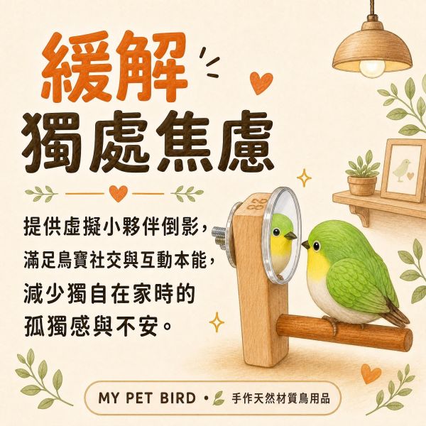 ｗ829A 綠繡眼迷你鏡｜小型鳥安全壓克力鳥用鏡子 綠繡眼迷你鏡, 鳥用鏡子, 小型鳥鏡子, 綠繡眼玩具, 鳥類心理刺激, 鳥籠鏡子, 壓克力鳥鏡, MY PET BIRD